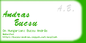 andras bucsu business card